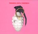 Terranova, Digital Tenderness, Ministry Of Sound Recordings, Family Affair