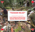 Various Artists, Tsunami Relief, Benefiz Cd Der Deutschen House & Techno Szene